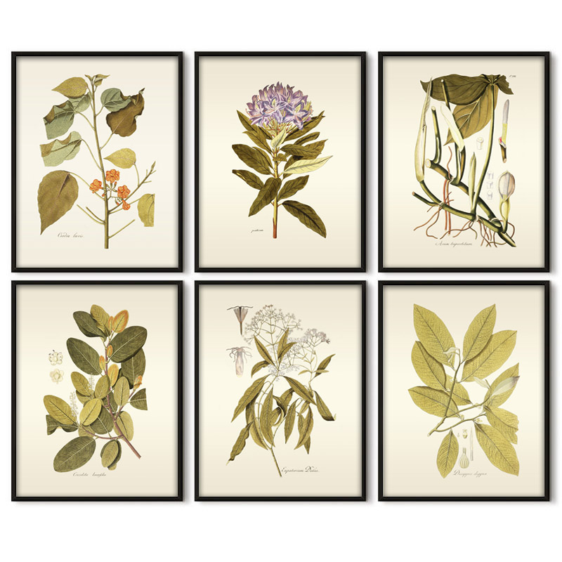 Office Furniture York - Kruidachtige Plant Wall Art Schilderij Vintage