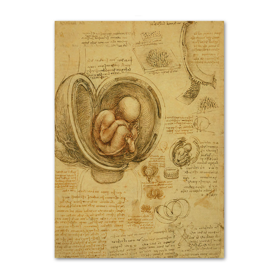 Retro Art Canvas Schilderij Da - Office Furniture York recensie en prijs