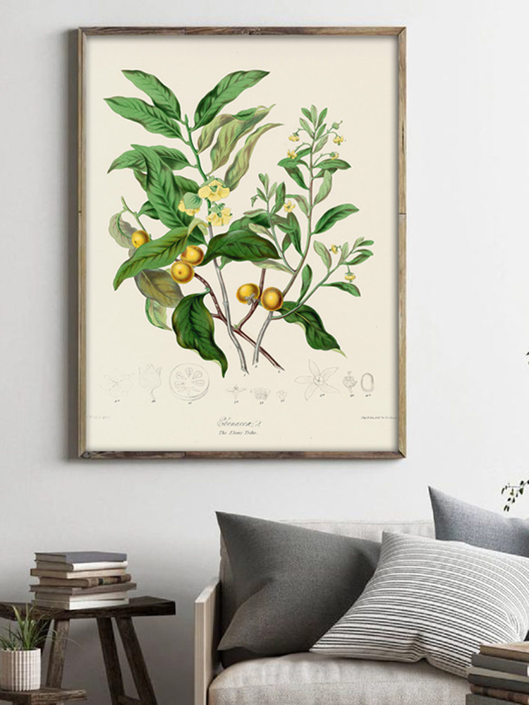 Kruidachtige Plant Wall Art Sc - Office Furniture York recensie en prijs